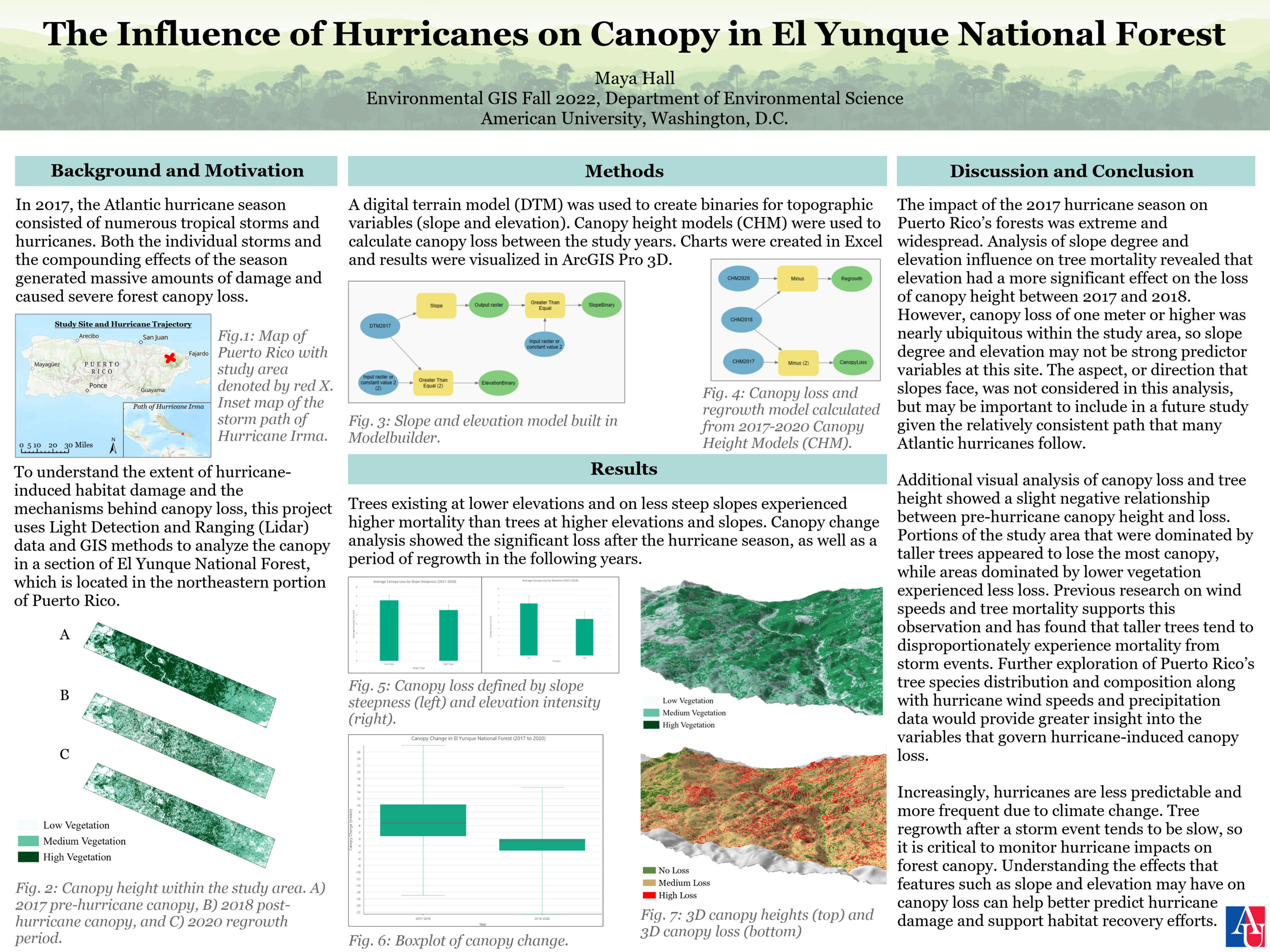Deforestation Post-Hurricane Event