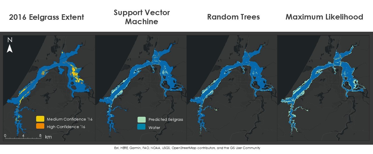Machine learning classifications
