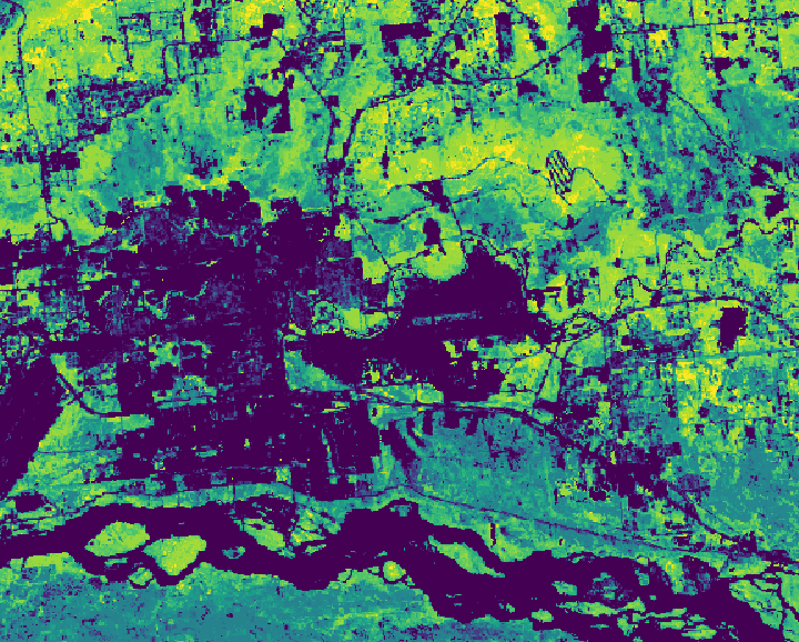 Carbon and Forest Loss in Fairbanks, Alaska