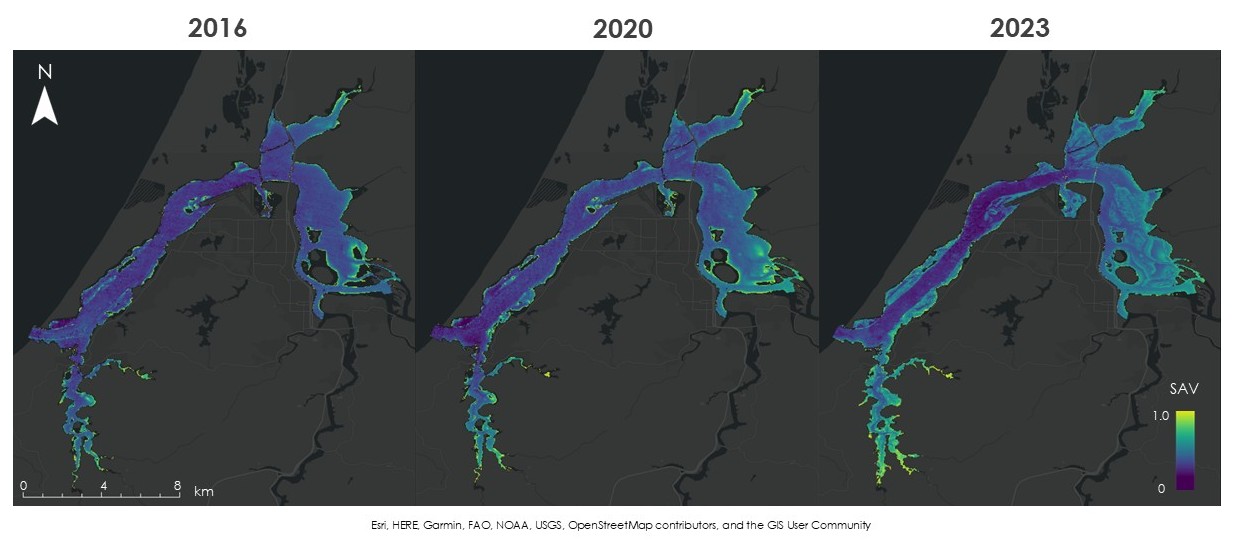 Eelgrass Remote Sensing, Southern Oregon