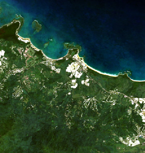 Deforestation Post-Hurricane Event